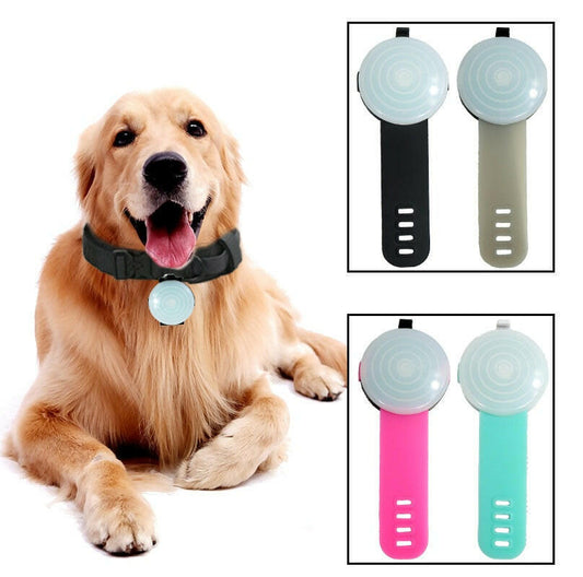 Golden Retriever wearing a dog collar with GPS tracker in black with colorful tracker lights
