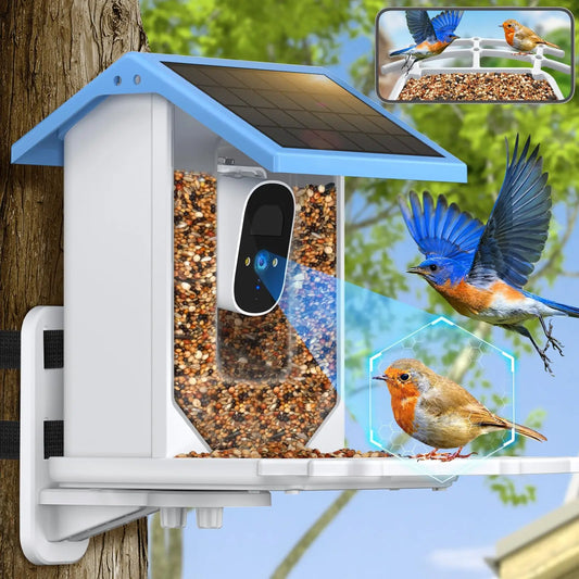 Mystore smart bird feeder with camera featuring solar panel and bird detection technology